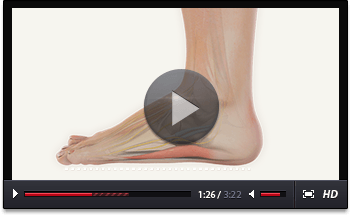 Patient Education Videos